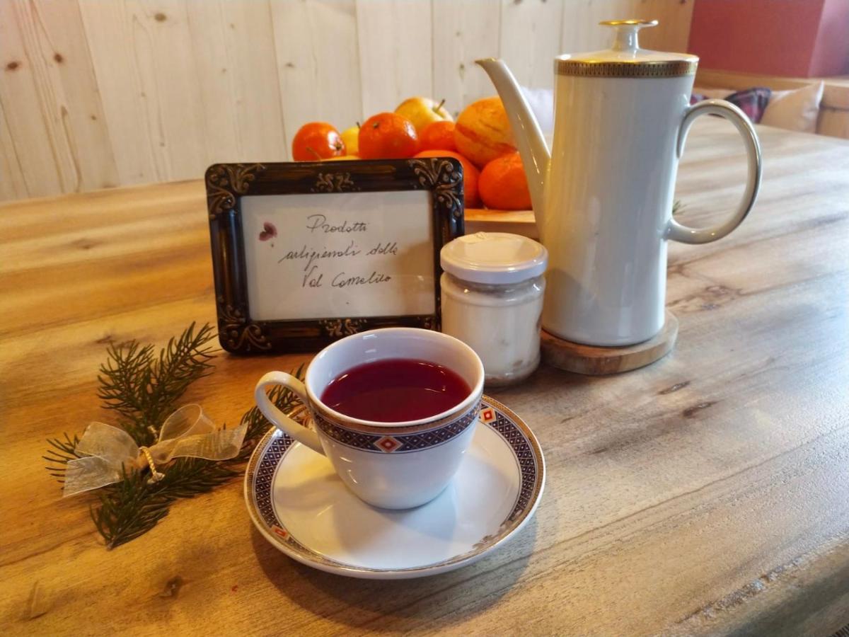 B&B Campitello 13 Di Caterina Costan San Nicolo di Comelico Екстериор снимка